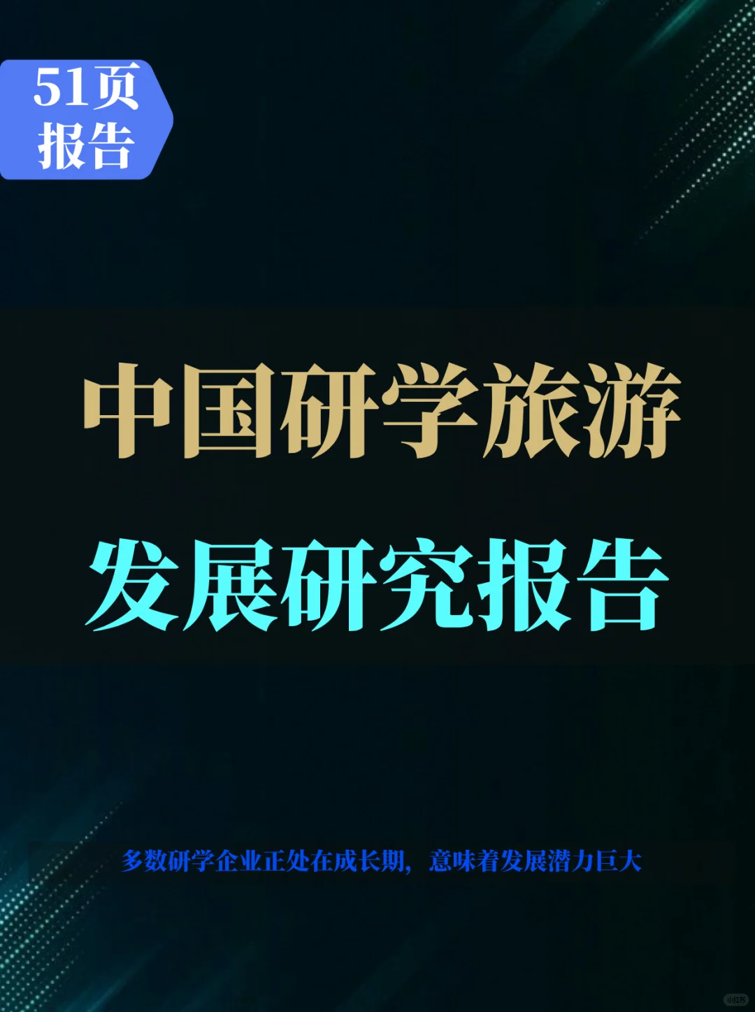 中国研学旅游发展报告