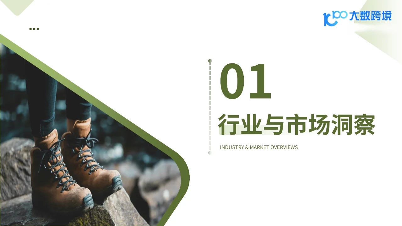 2025全球登山鞋市场洞察报告