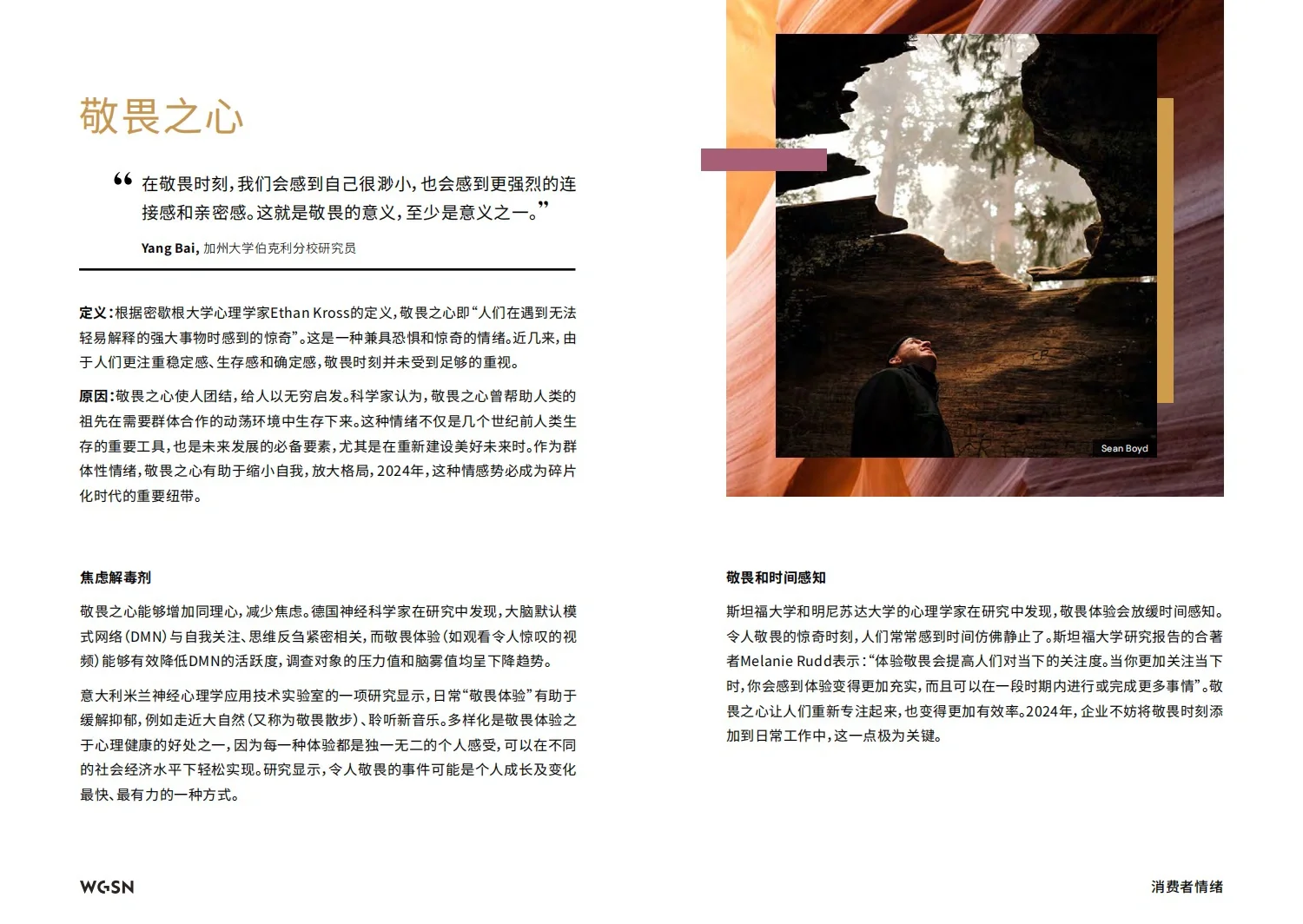 WGSN重磅报告：2024未来消费者洞察