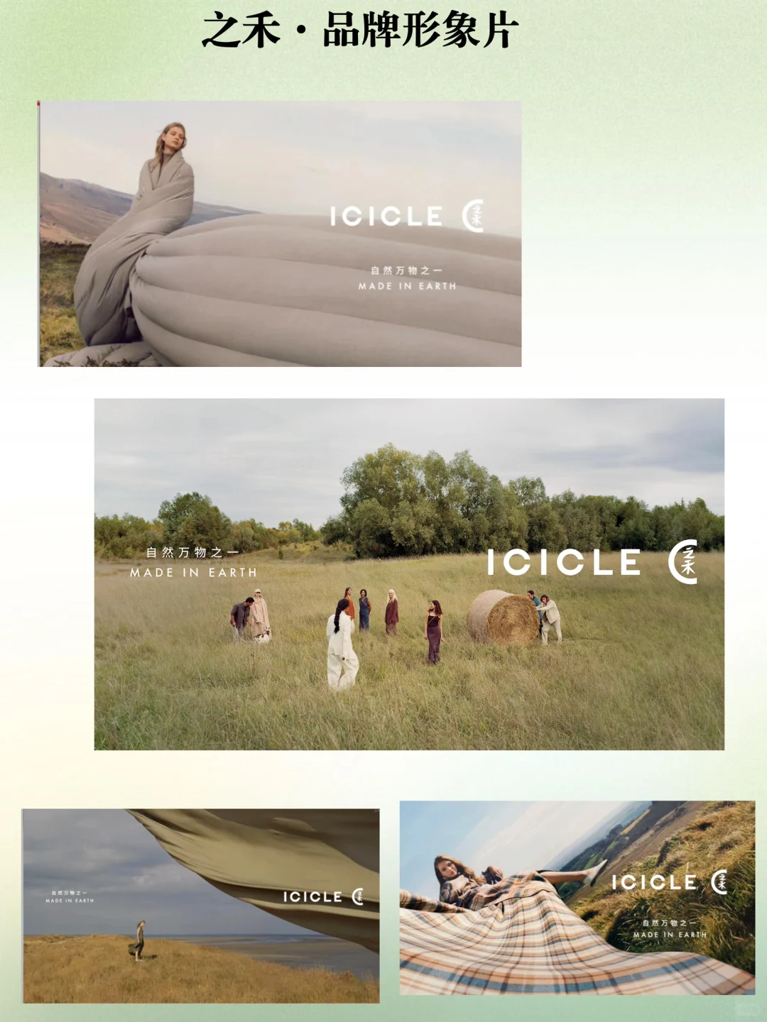 高端品牌分析『之禾』ICICLE
