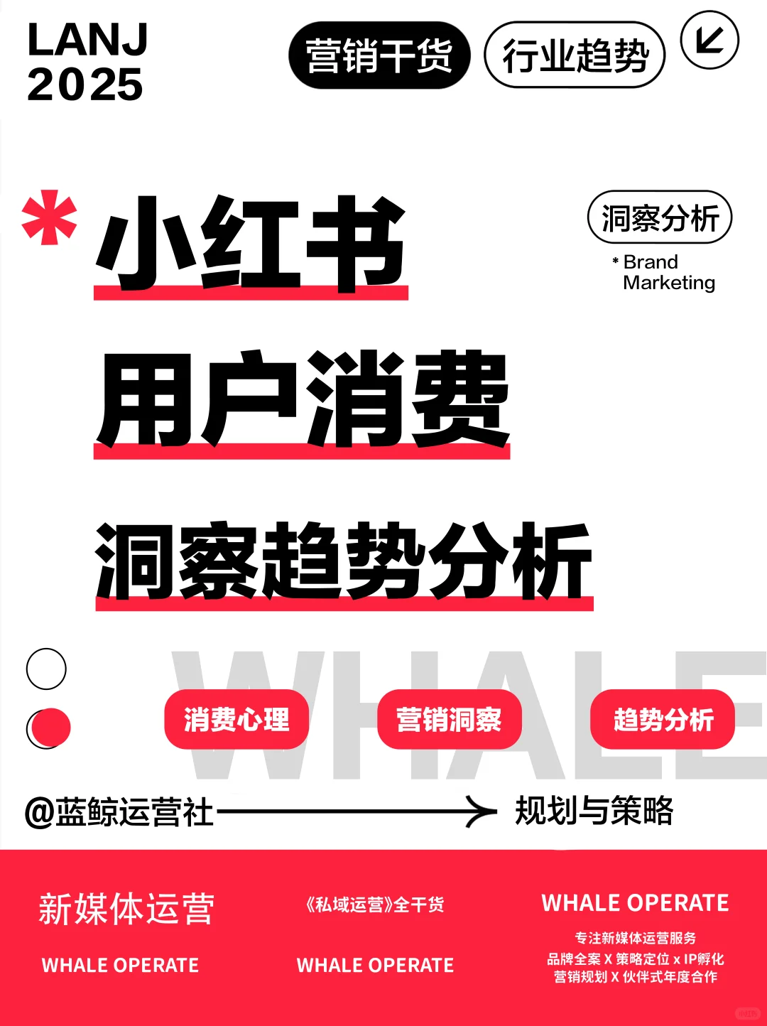 趋势洞察|小红书用户的“消费真相”