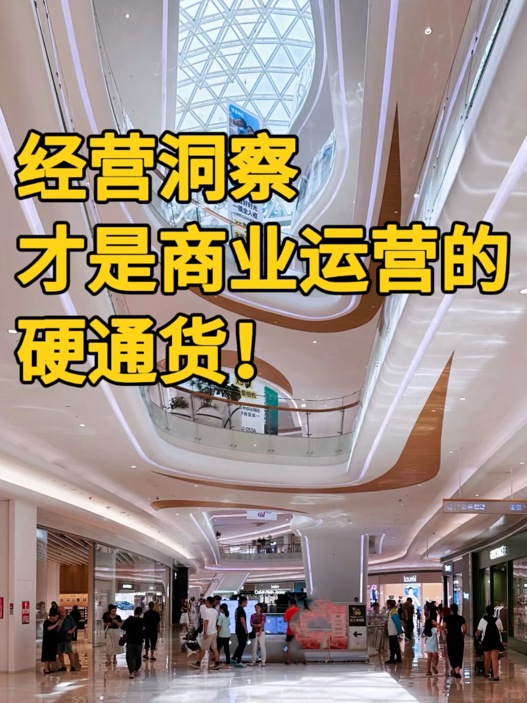 进阶指南｜商业运营的硬核能力：经营洞察