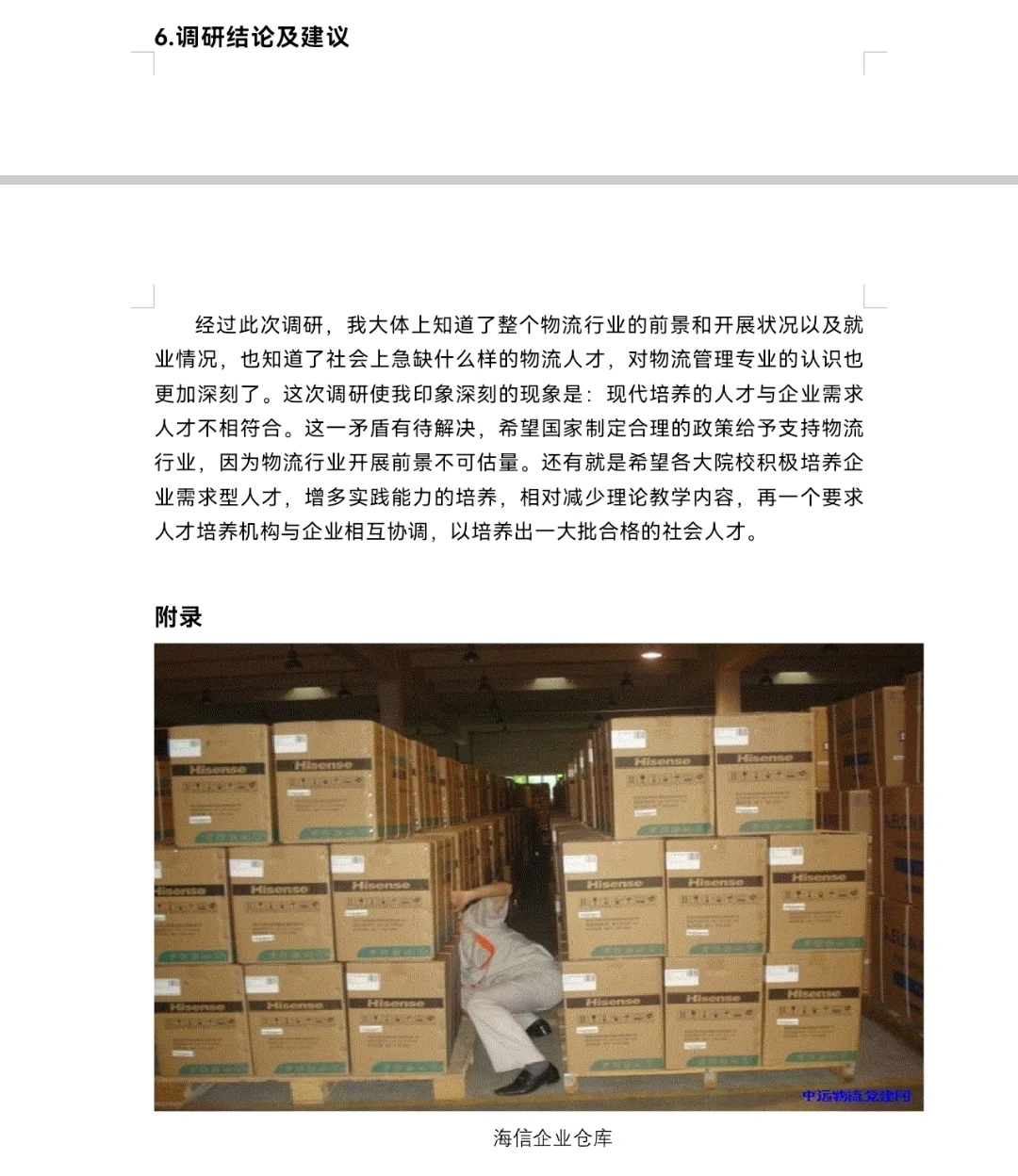 《经济学调查研究报告》word