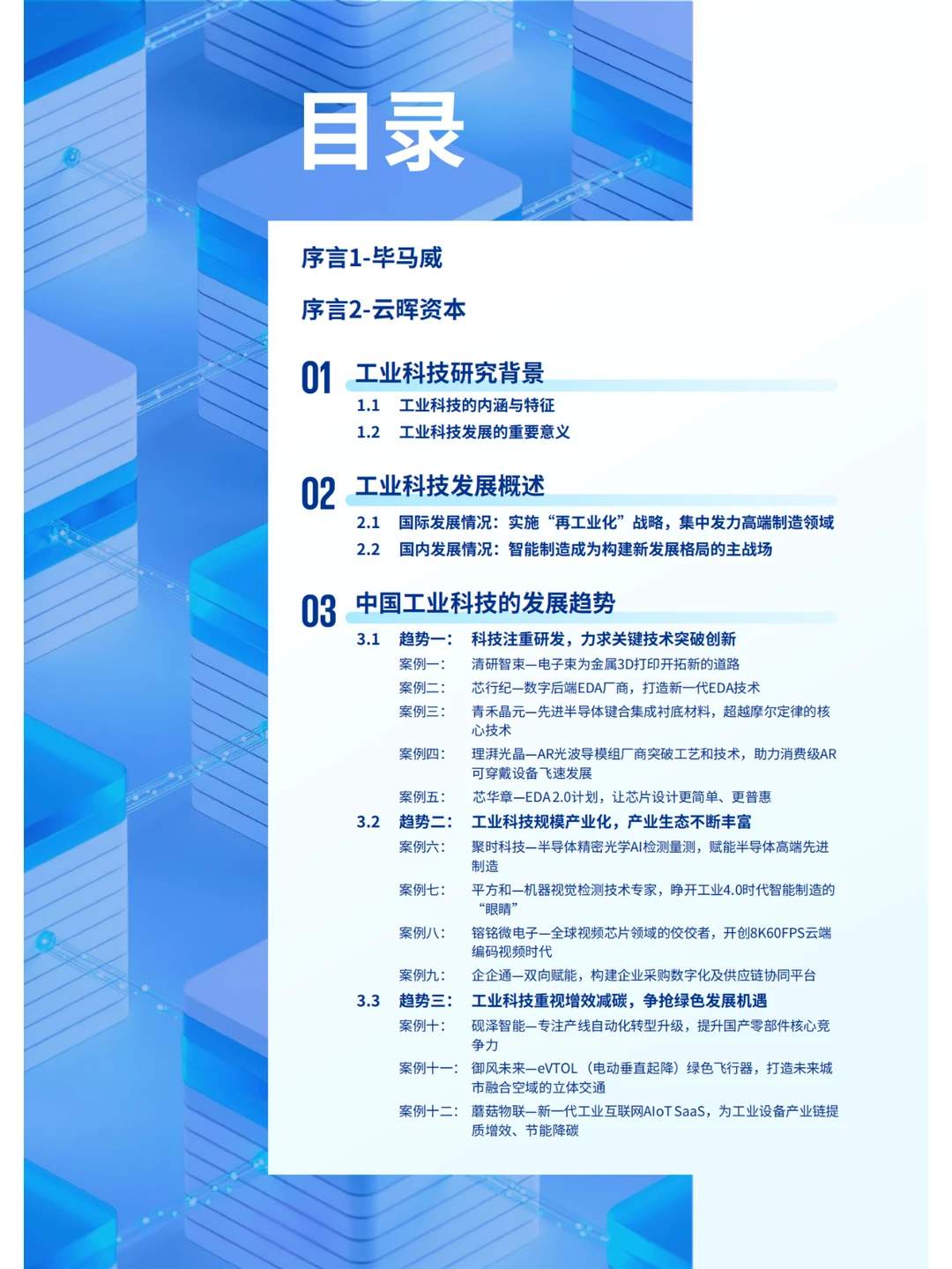 中国工业科技企业观察报告-毕马威