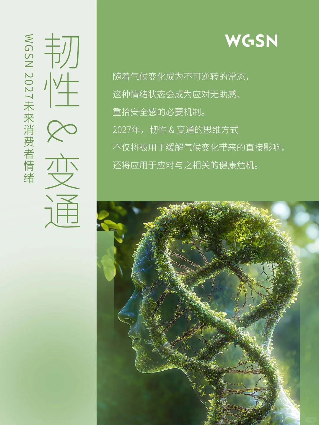 从情绪洞察中洞悉消费者选择