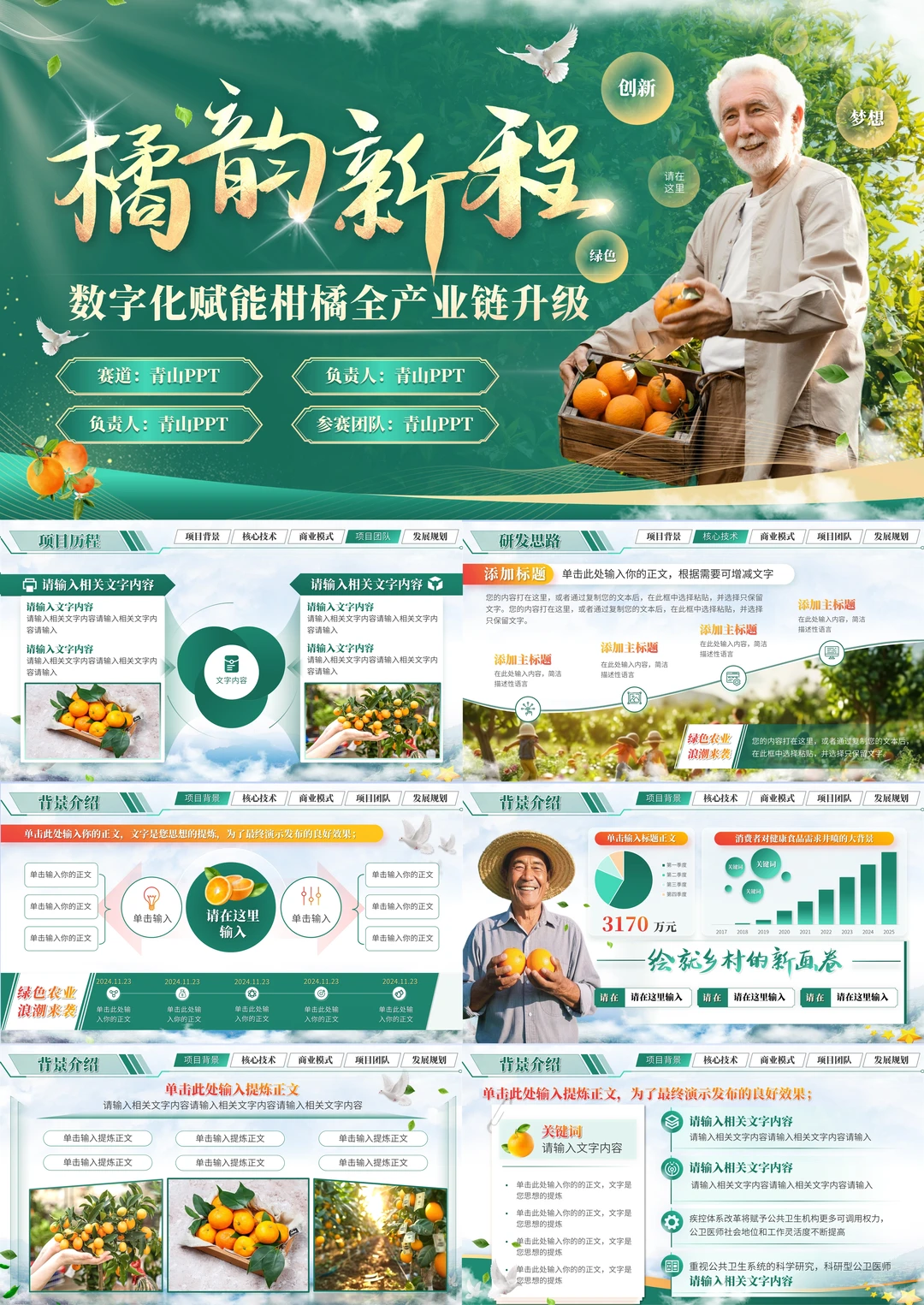 助力乡村✨创新大赛高分PPT案例分享