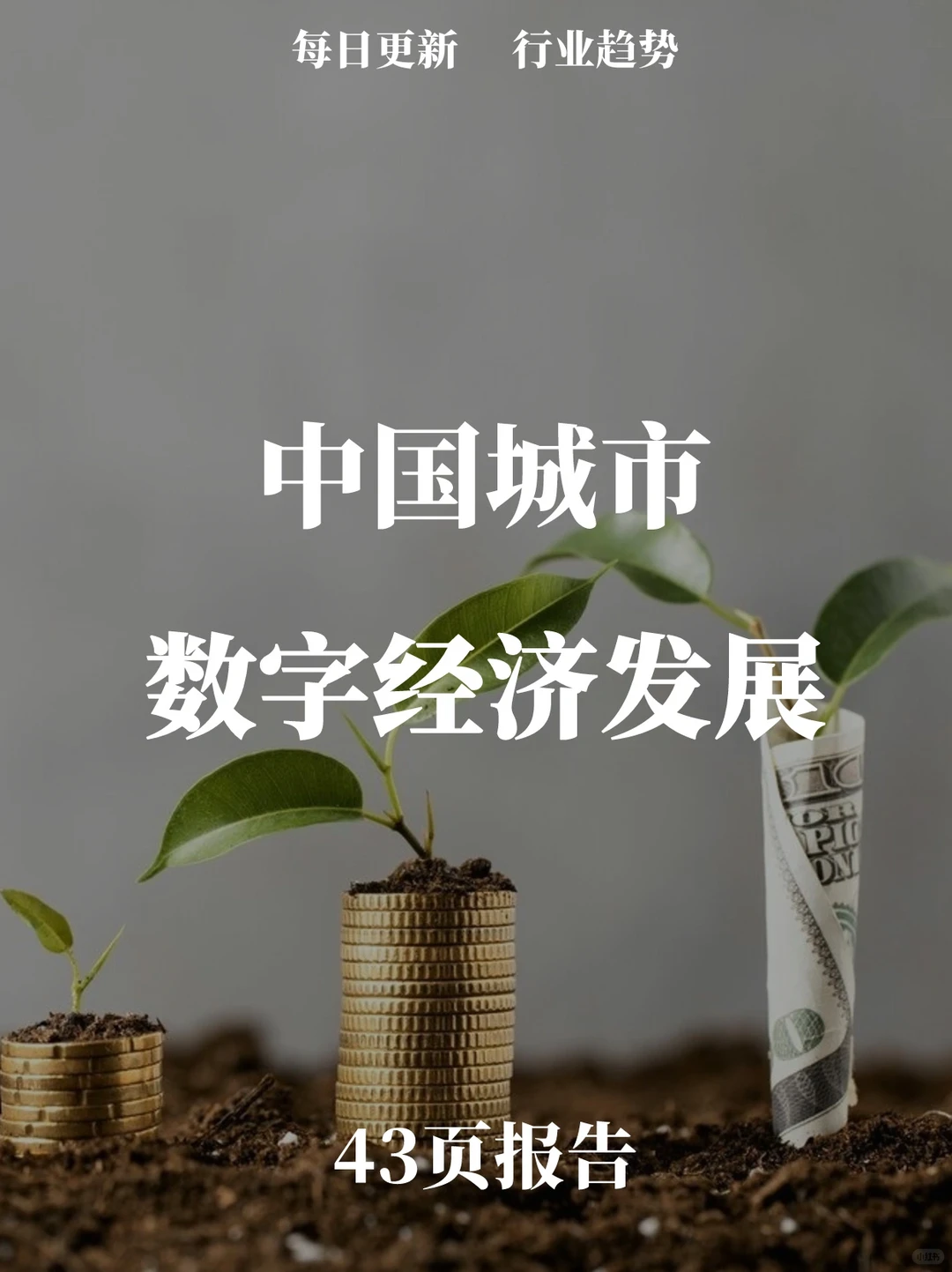 43页报告读懂 | 中国城市数字经济发展