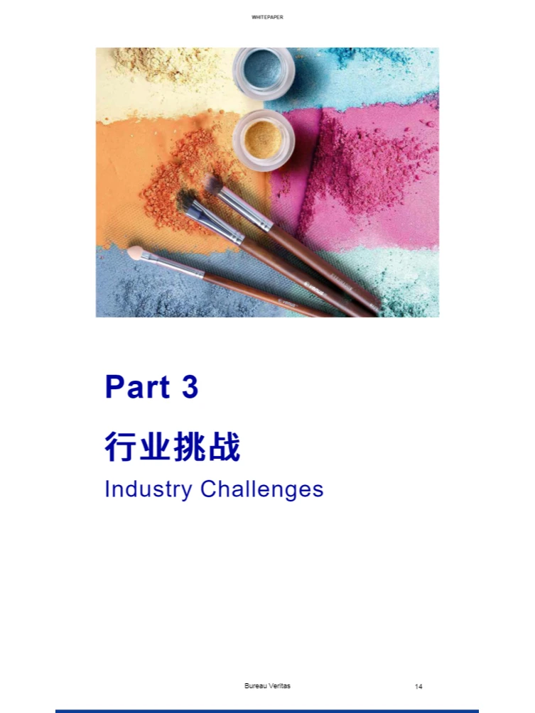 2024化妆品行业白皮书