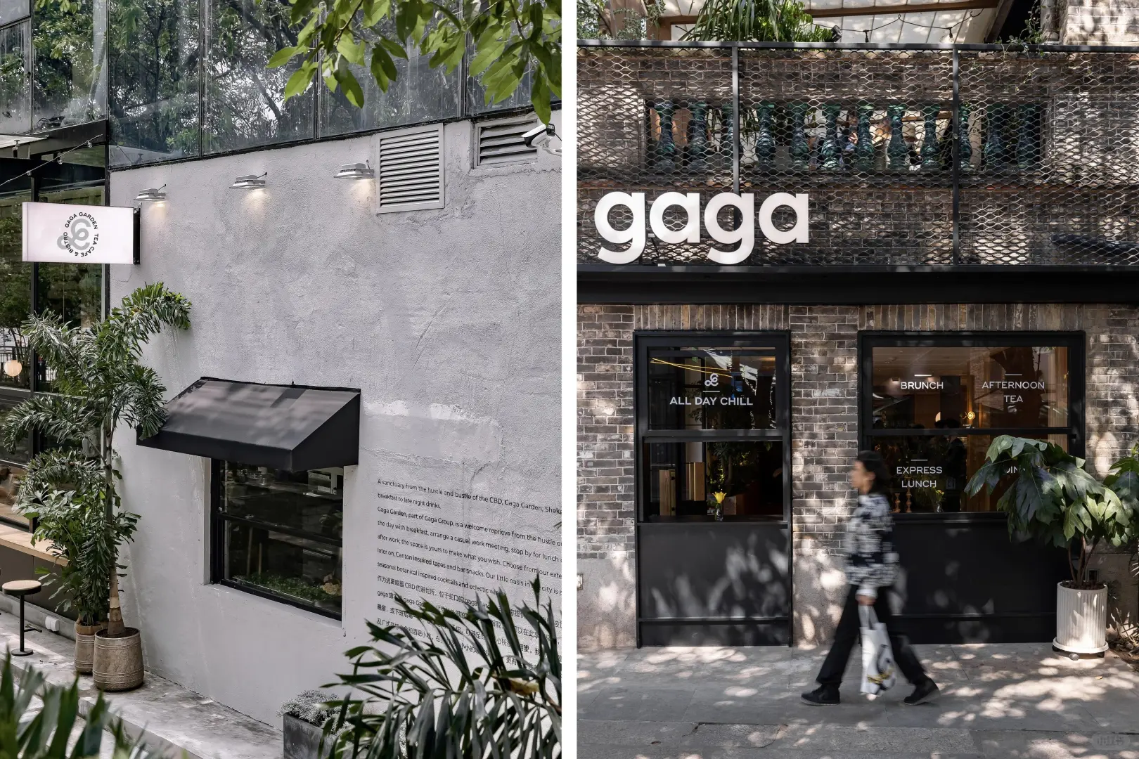 灵感采集|茶饮轻食LOGO设计分享