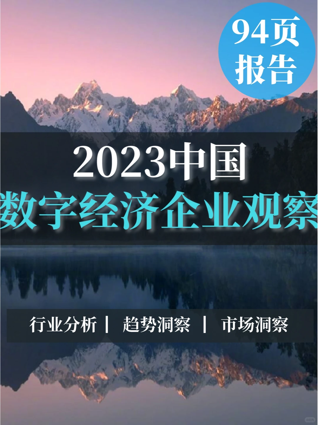 94页报告▏2023年中国数字经济企业观察报告