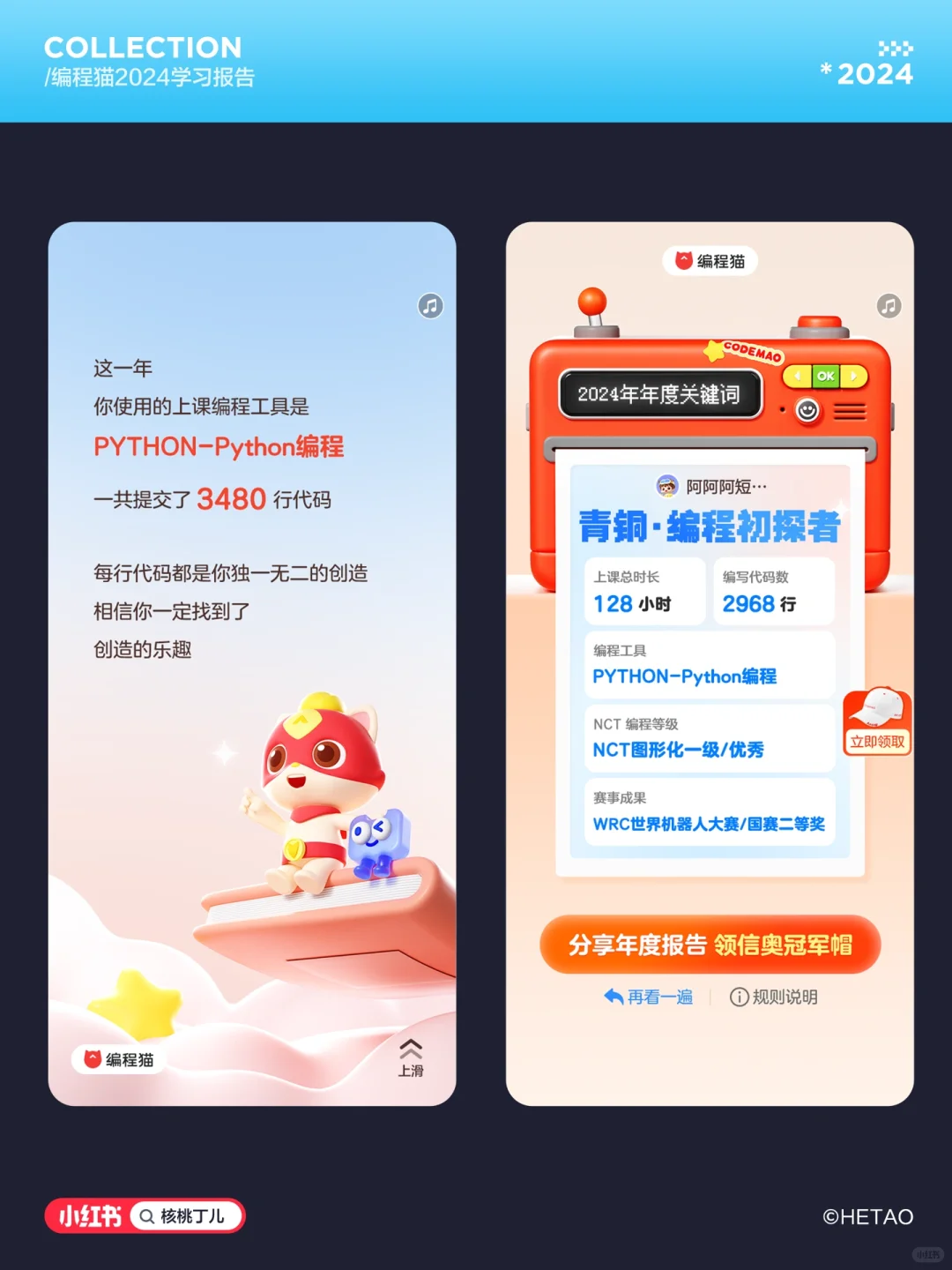 工作｜2024年度报告