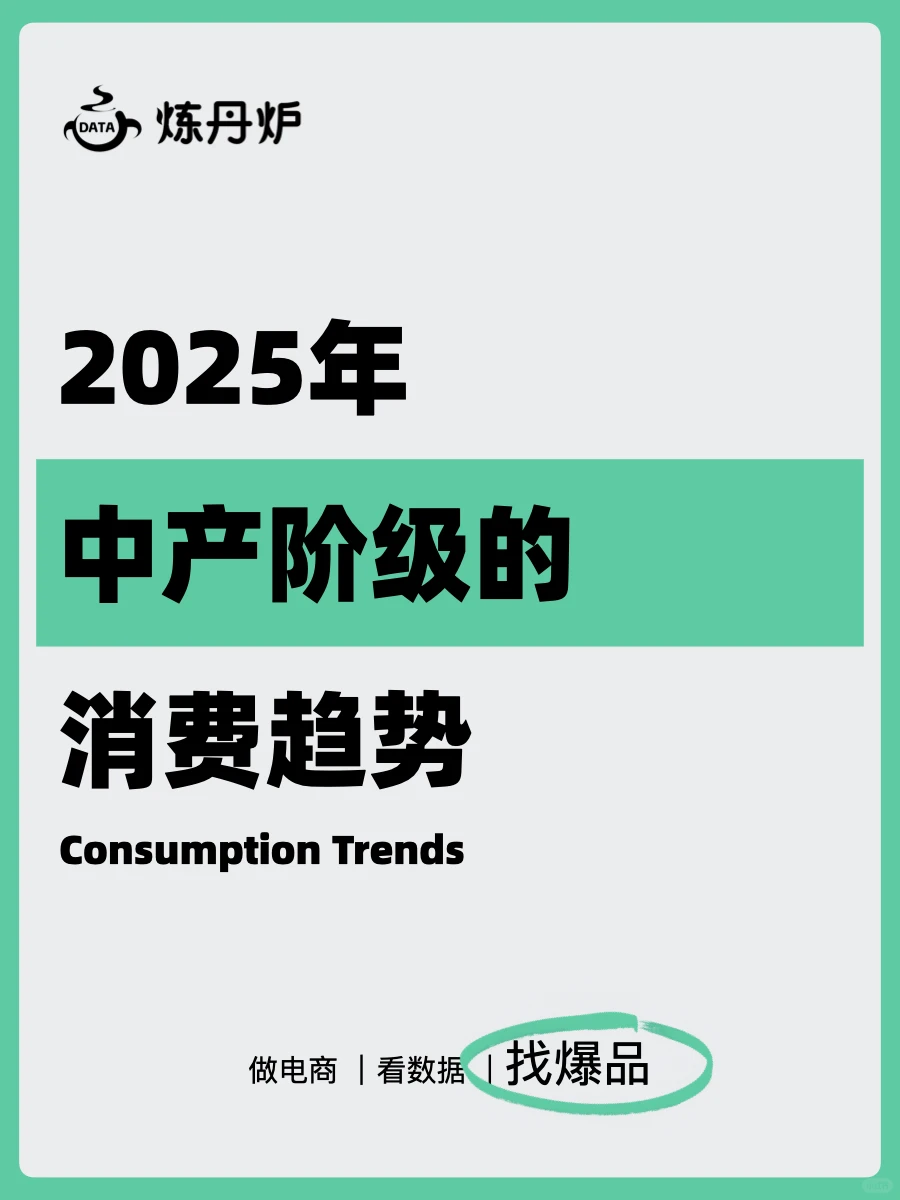 2025年中产阶级消费趋势洞察｜炼丹炉大数据