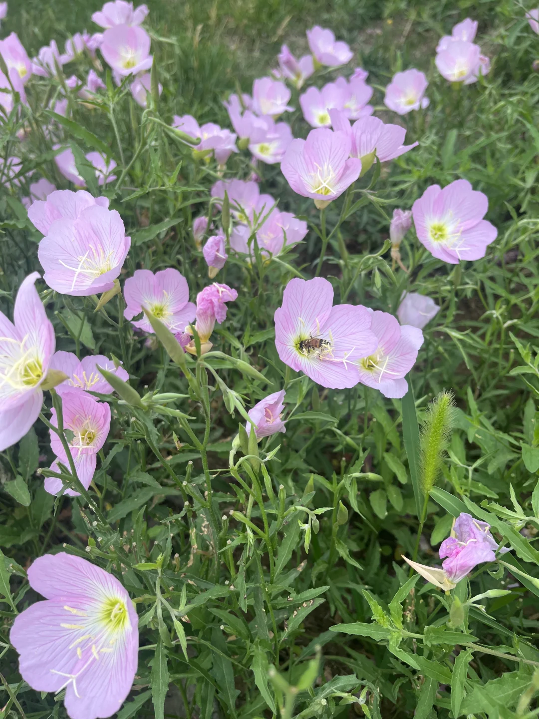 读书+任何赛道=赚米