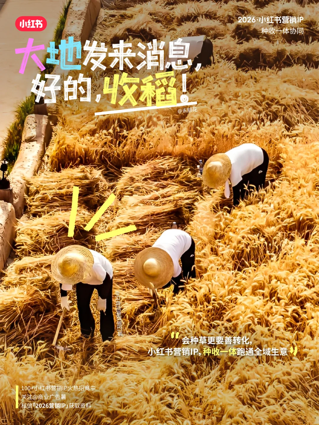 ? 官方剧透!2026小红书营销IP通案重磅来袭