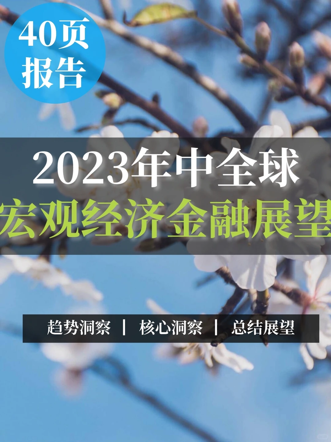 重磅报告｜2023年中全球宏观经济金融展望