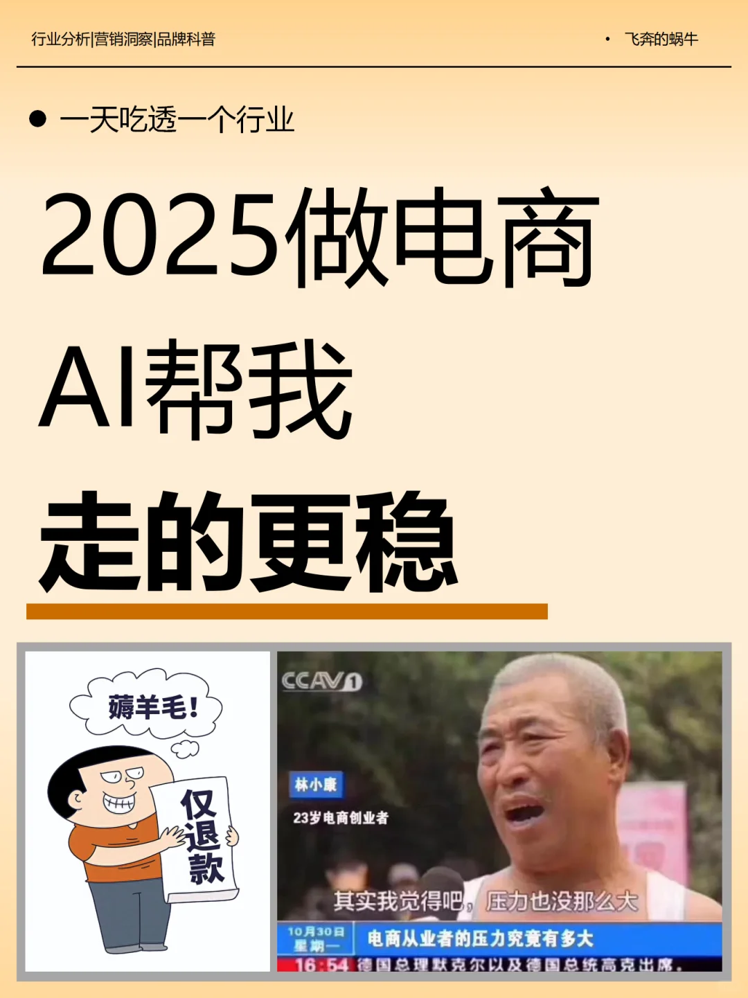 一天吃透一个行业。AI做电商，帮我走的更稳