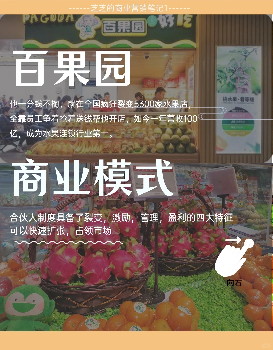 每天学习一家公司18|百果园的商业盈利模式