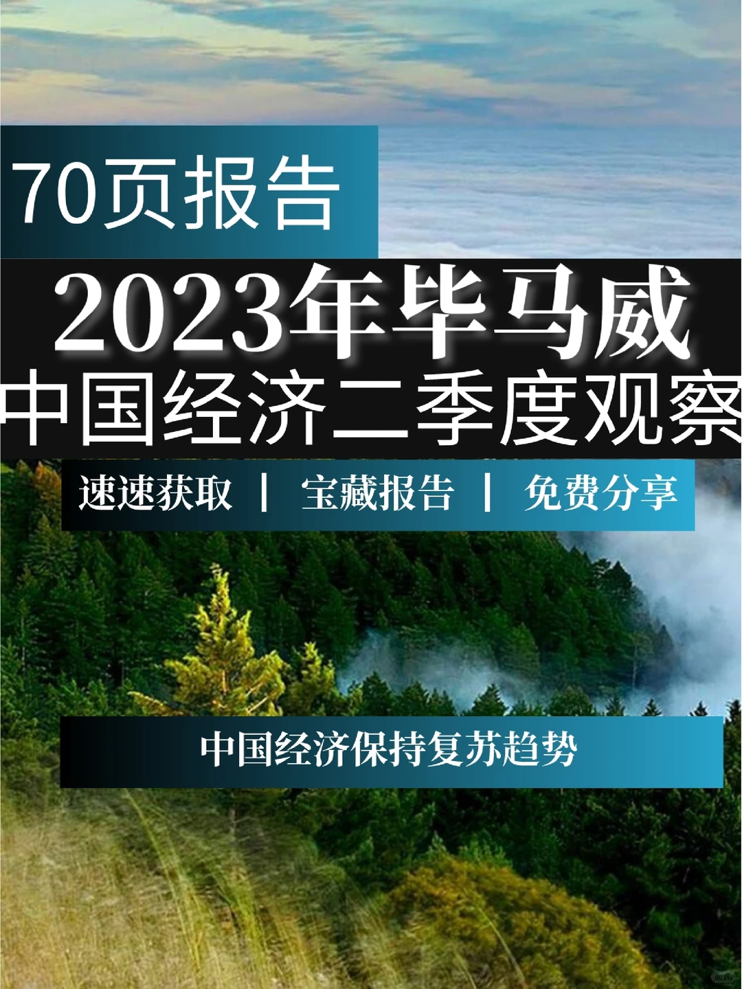 70页报告：2023年中国二季度经济观察报告