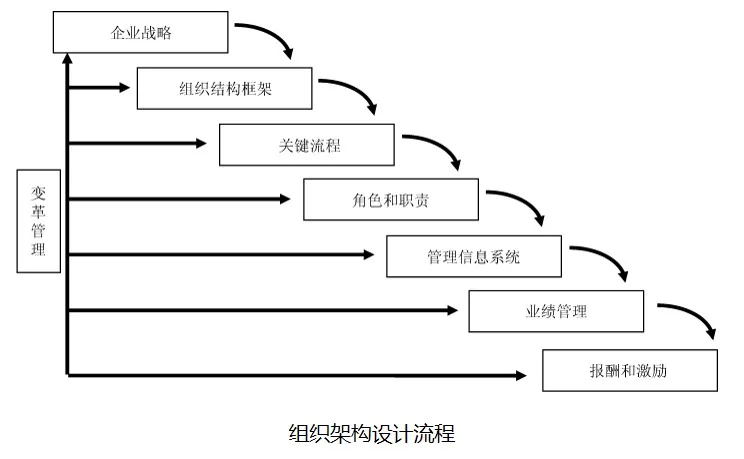 组织管理体系设计