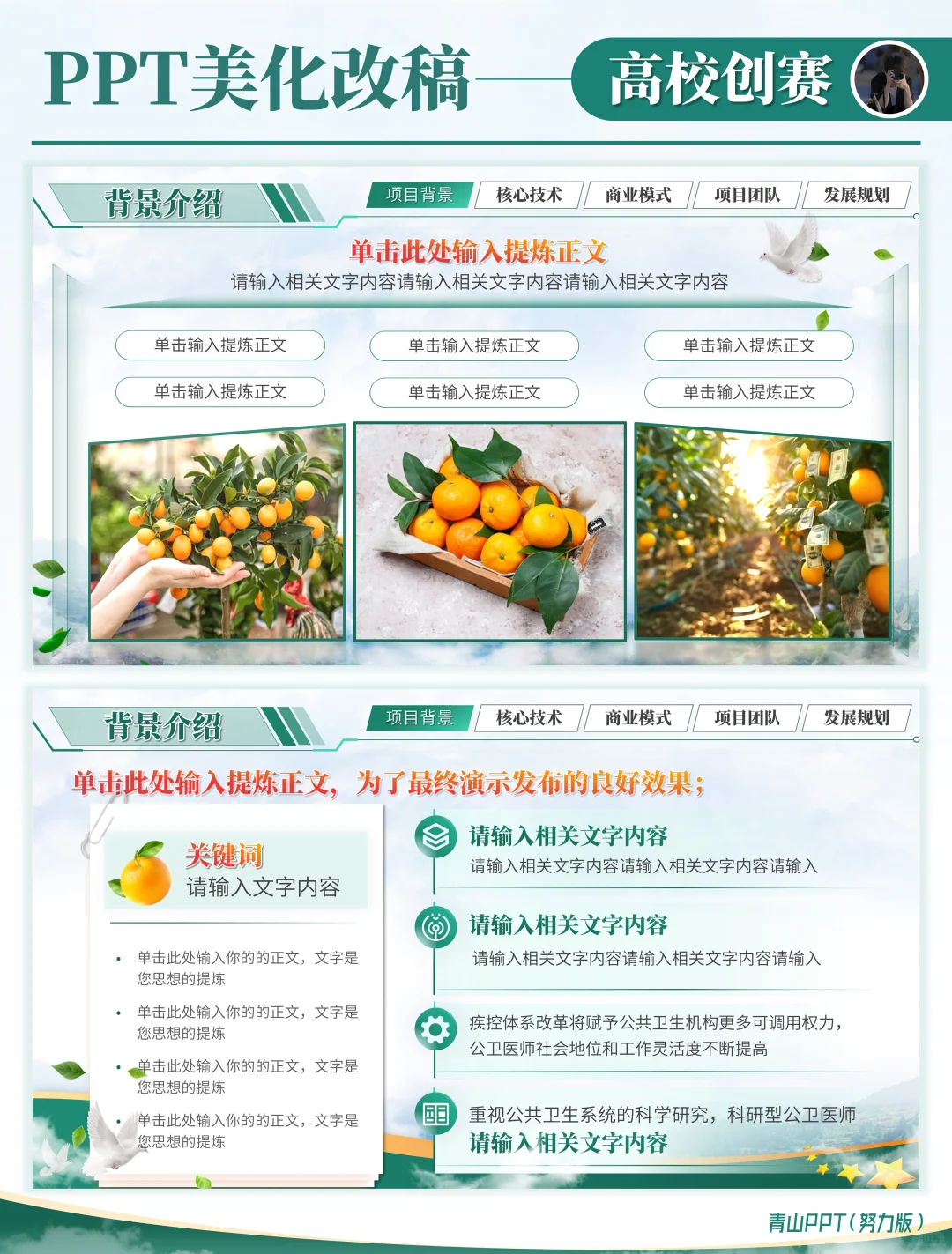 助力乡村✨创新大赛高分PPT案例分享