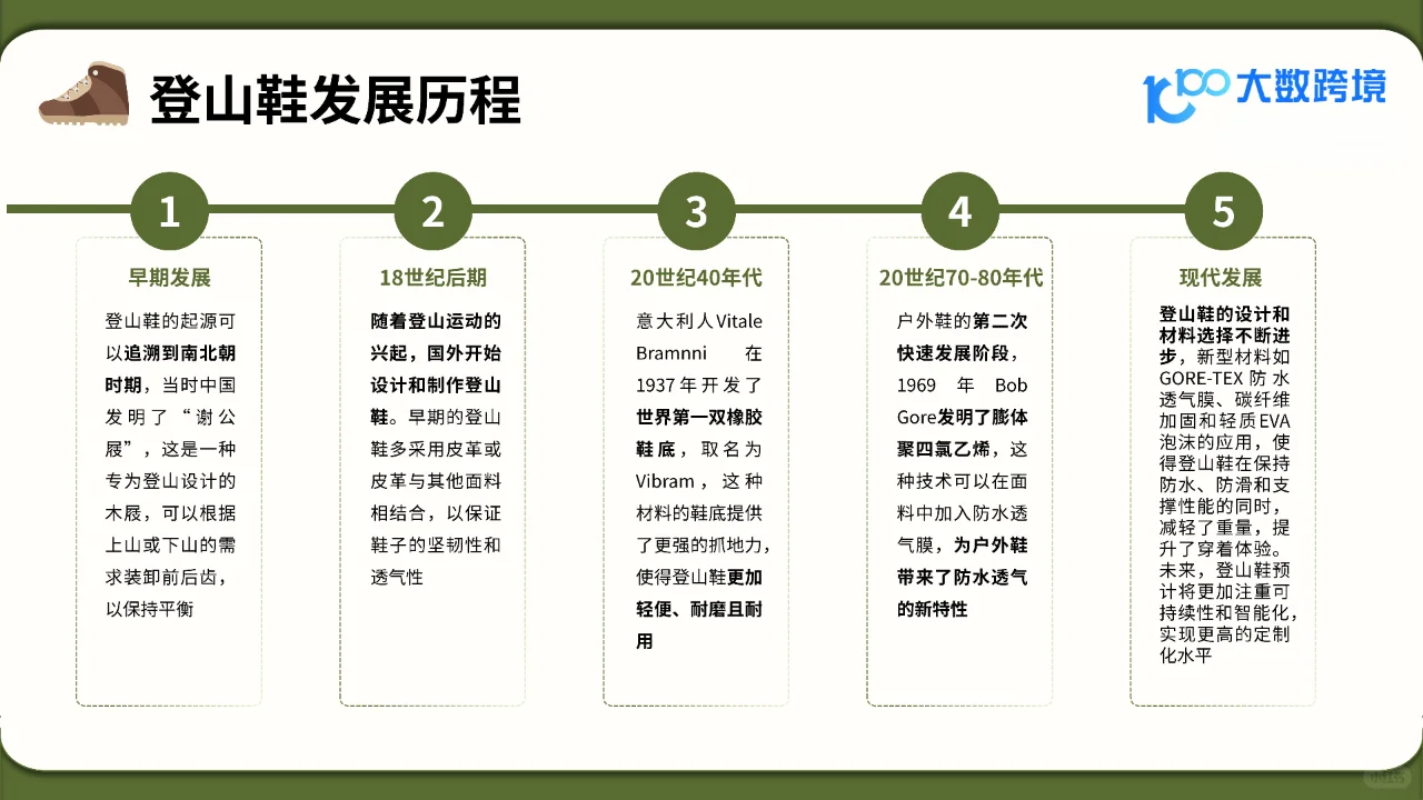 2025全球登山鞋市场洞察报告