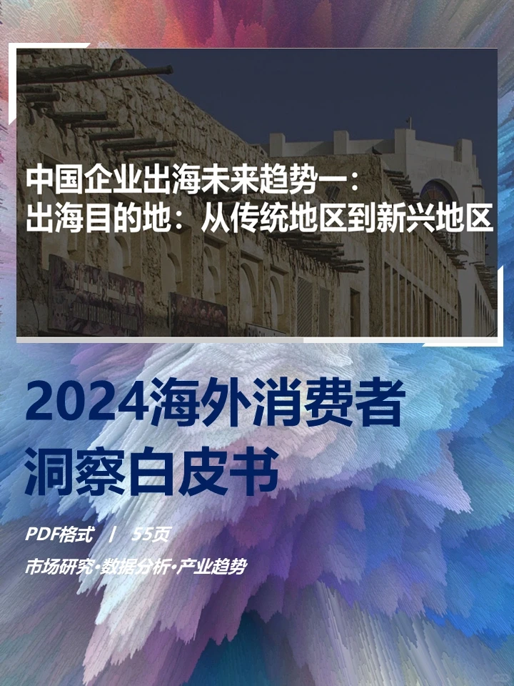 2024海外消费者洞察白皮书
