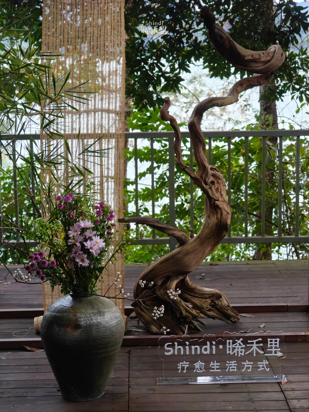 ?广州疗愈|一场疗愈与商业的双向觉醒之旅