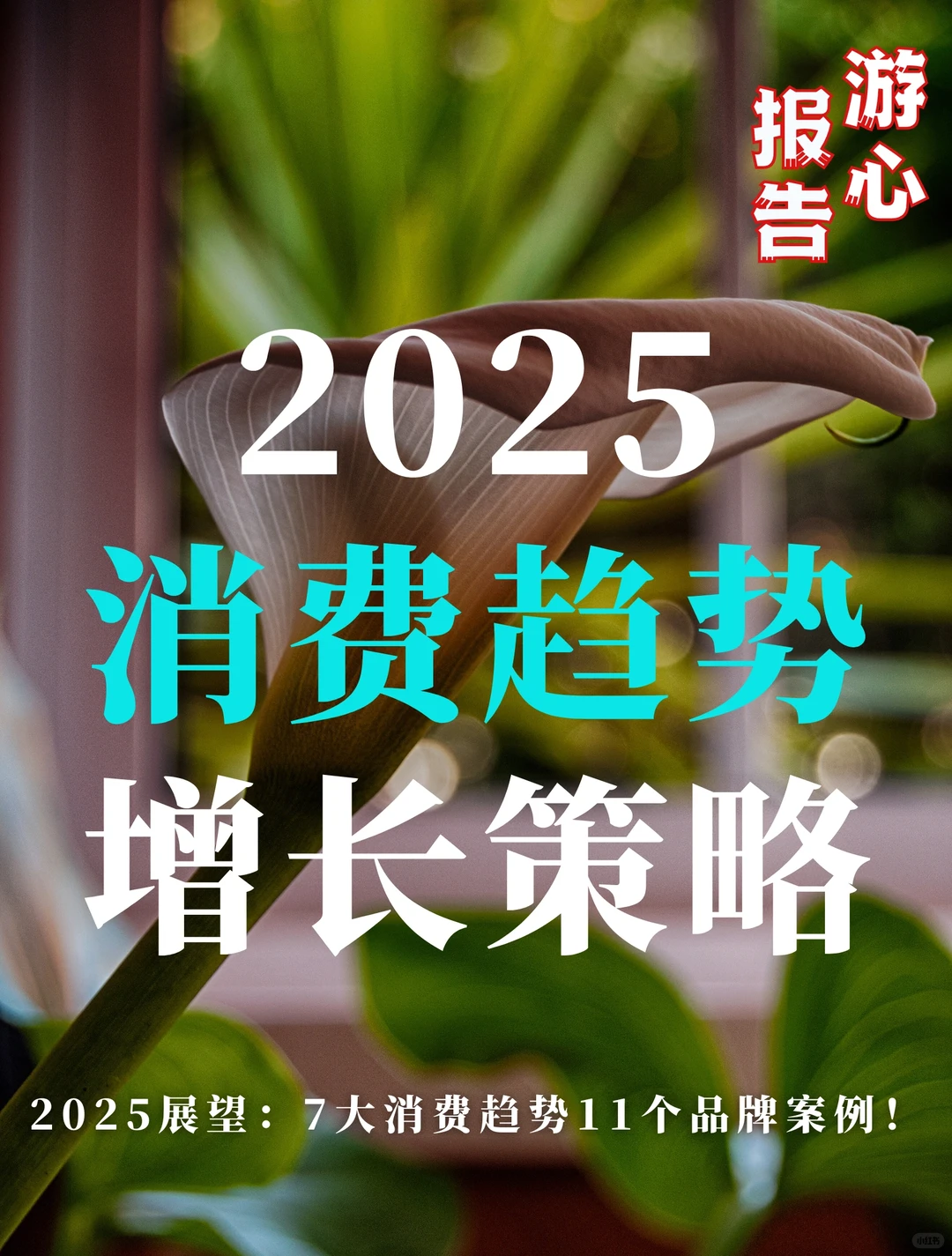 87页报告｜2025消费趋势及增长策略洞察报告