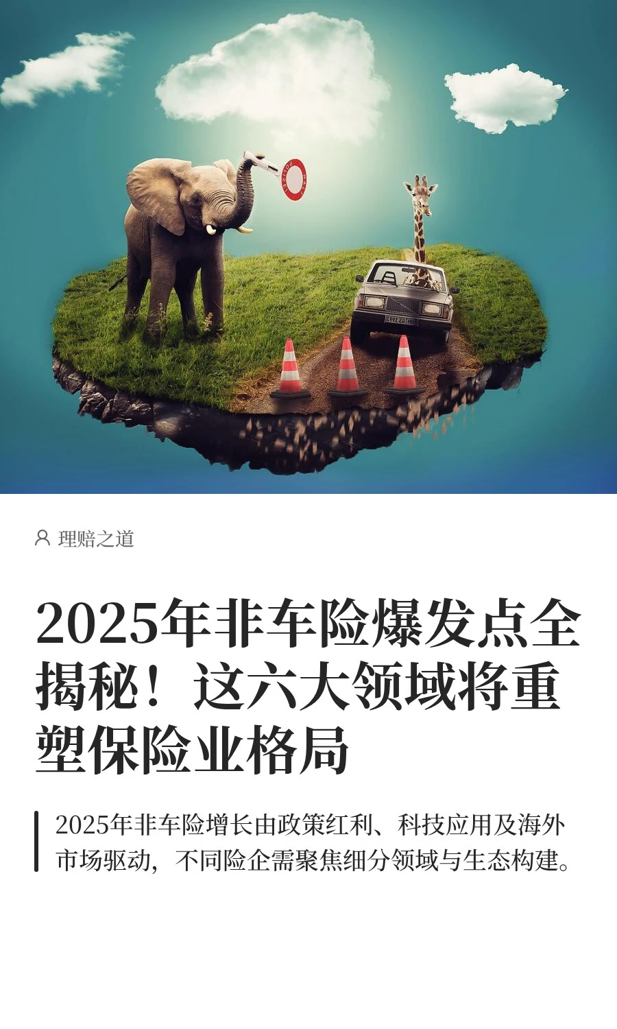 2025年非车险爆发点全揭秘！