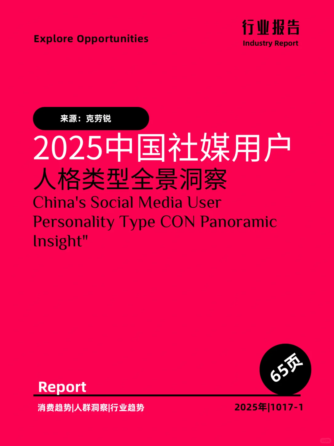 2025中国社媒用户人格类型全景洞察