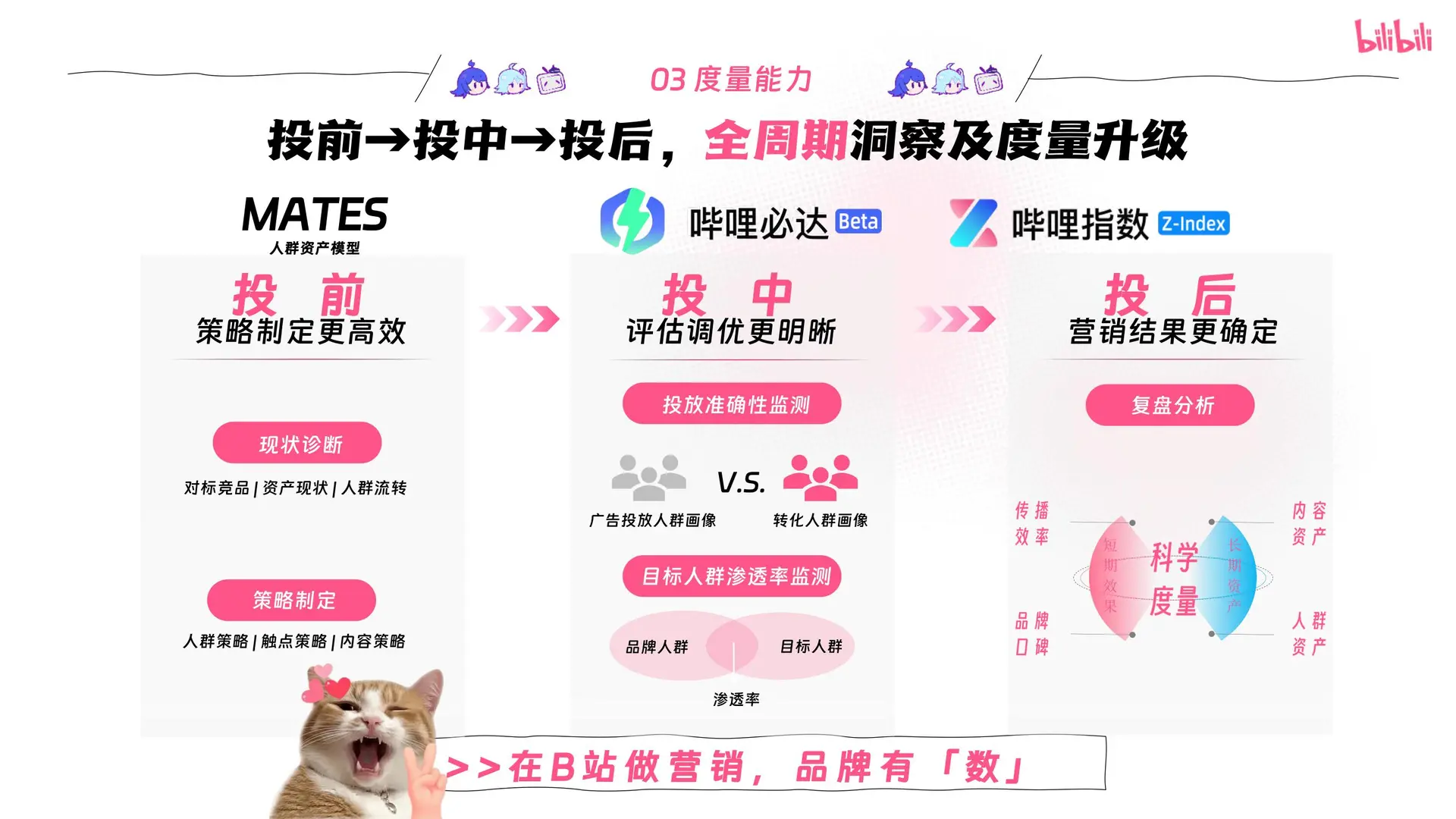 ?2025年宠物行业营销通案