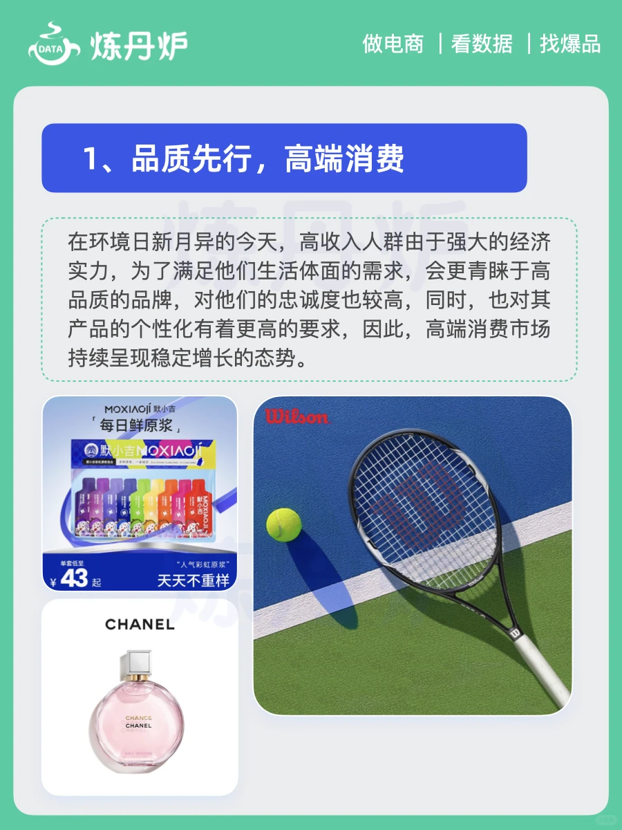 2025年中产阶级消费趋势洞察｜炼丹炉大数据