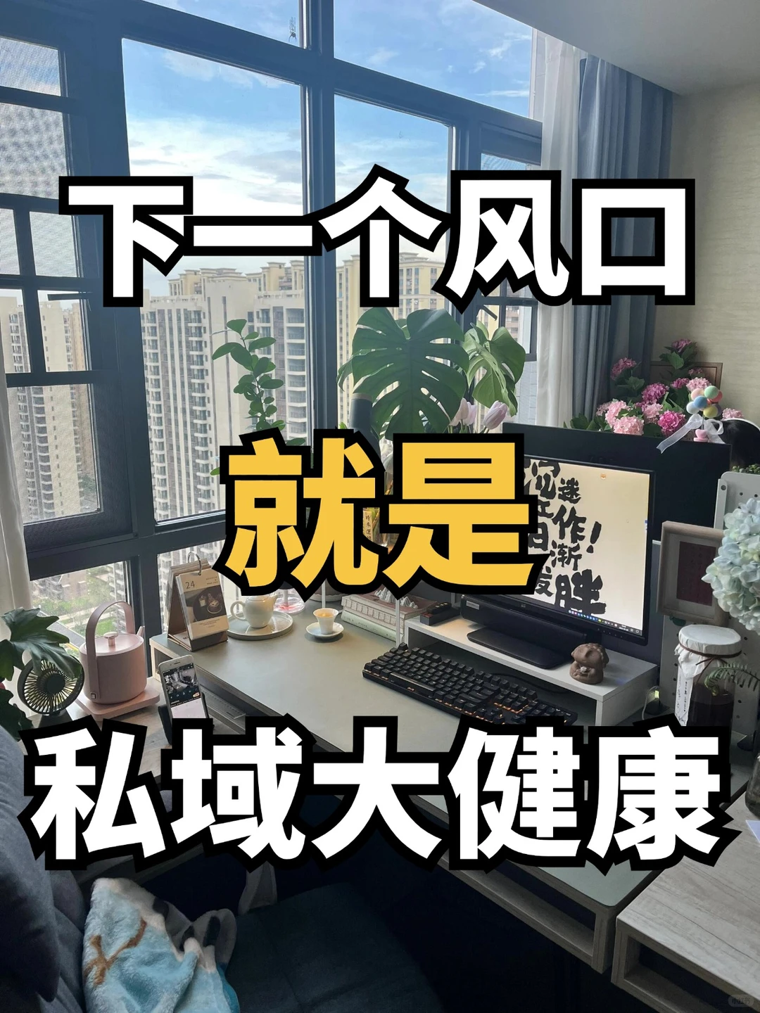 思域大健康就是下一个风口！！