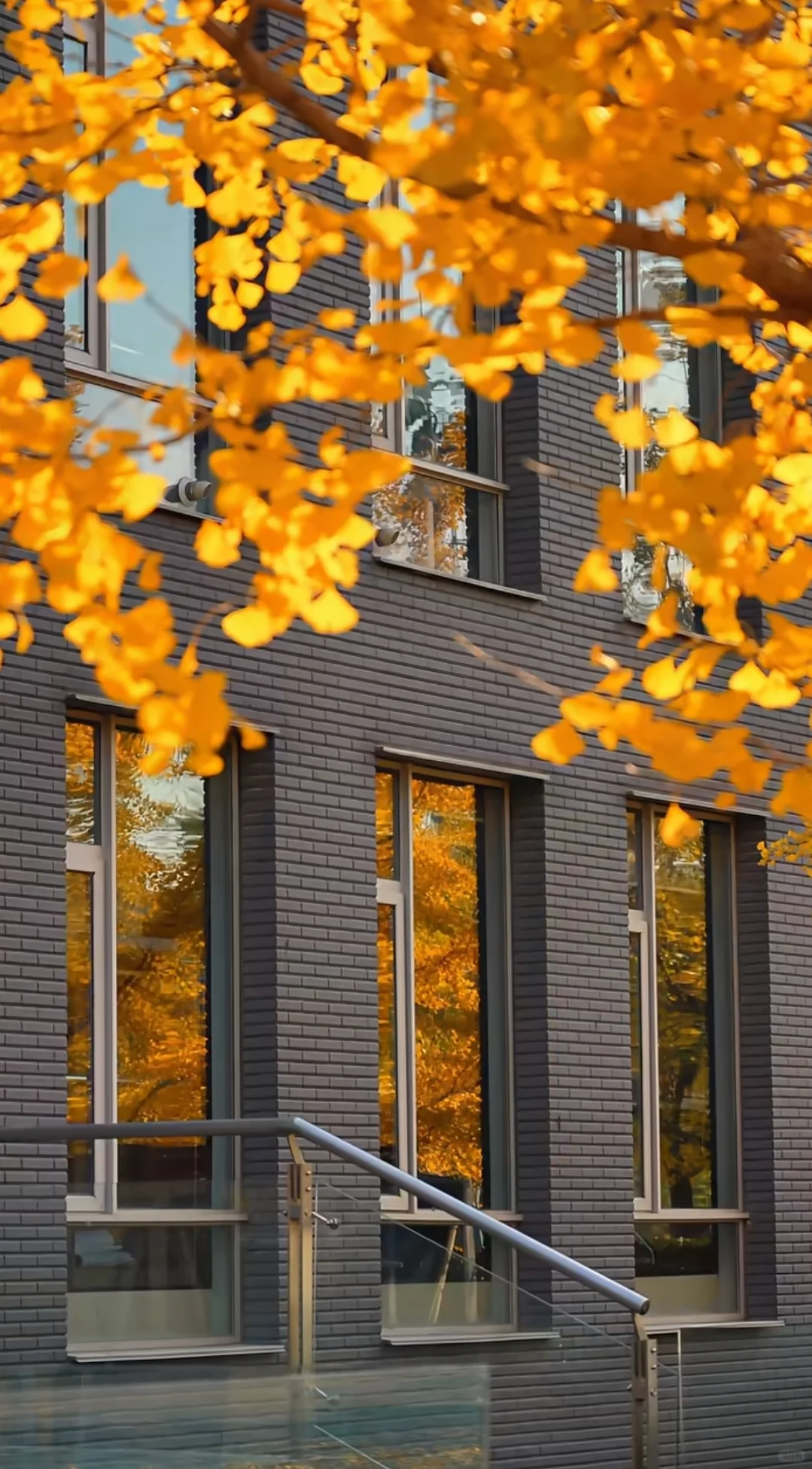 北京大学企业创新与区域经济发展班12月开课