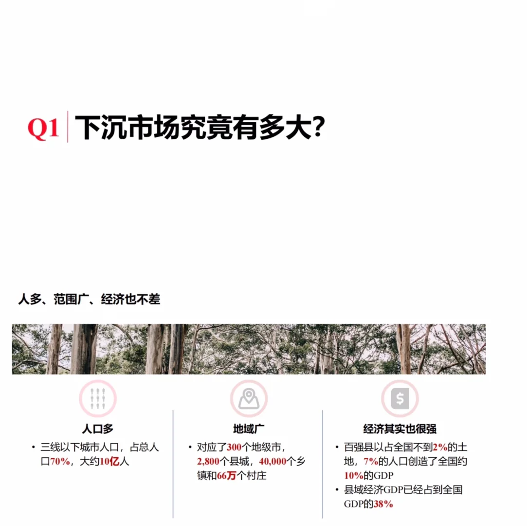 86页报告｜2024下沉市场消费新商机