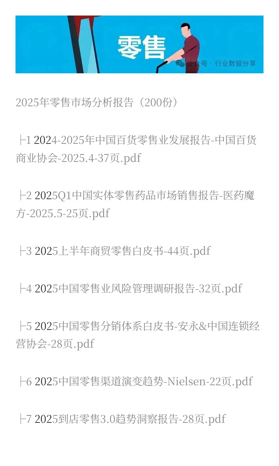 2025年零售市场分析报告（200份）