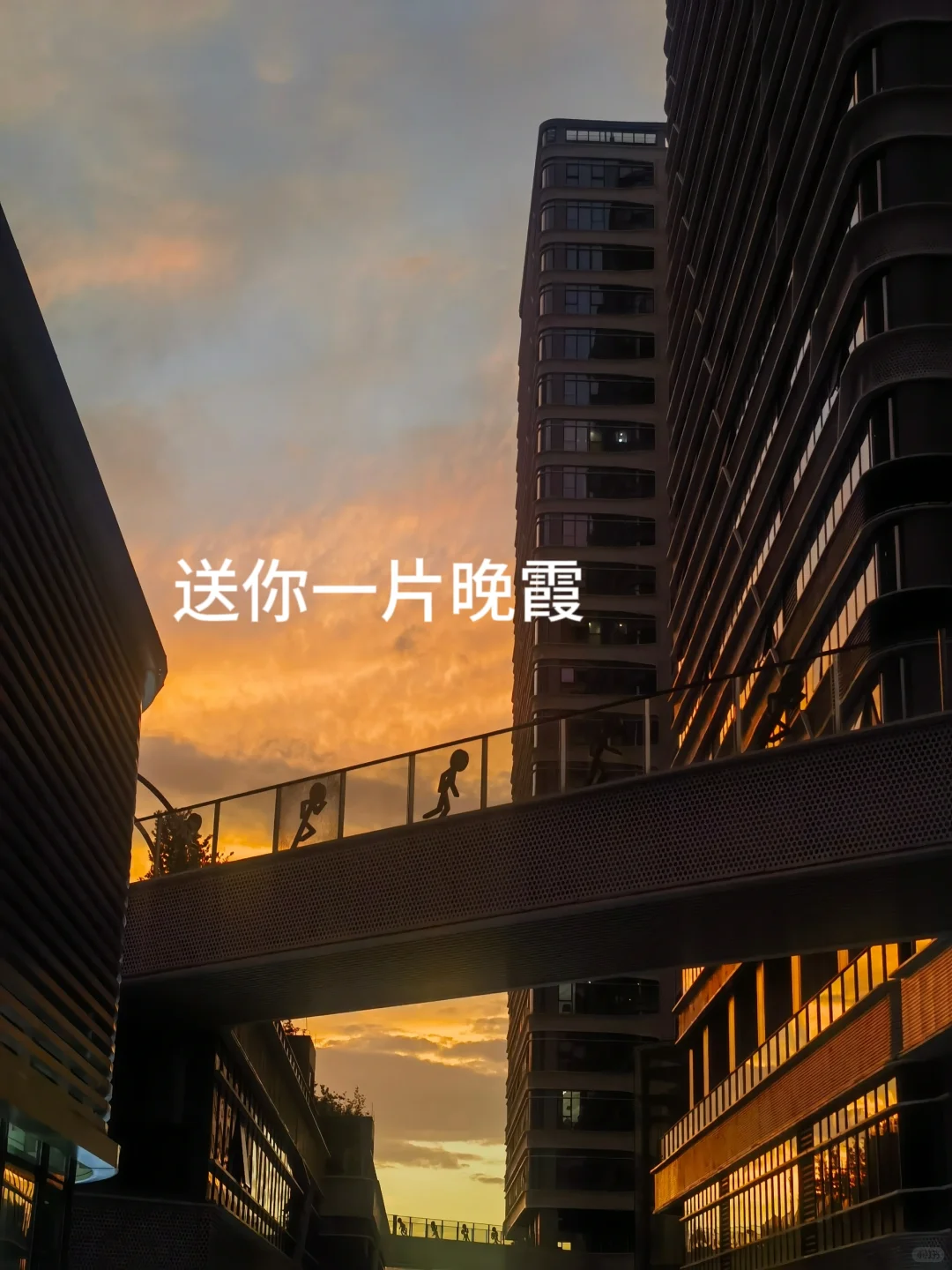 没特长的普通人，一定要试试成长型博主