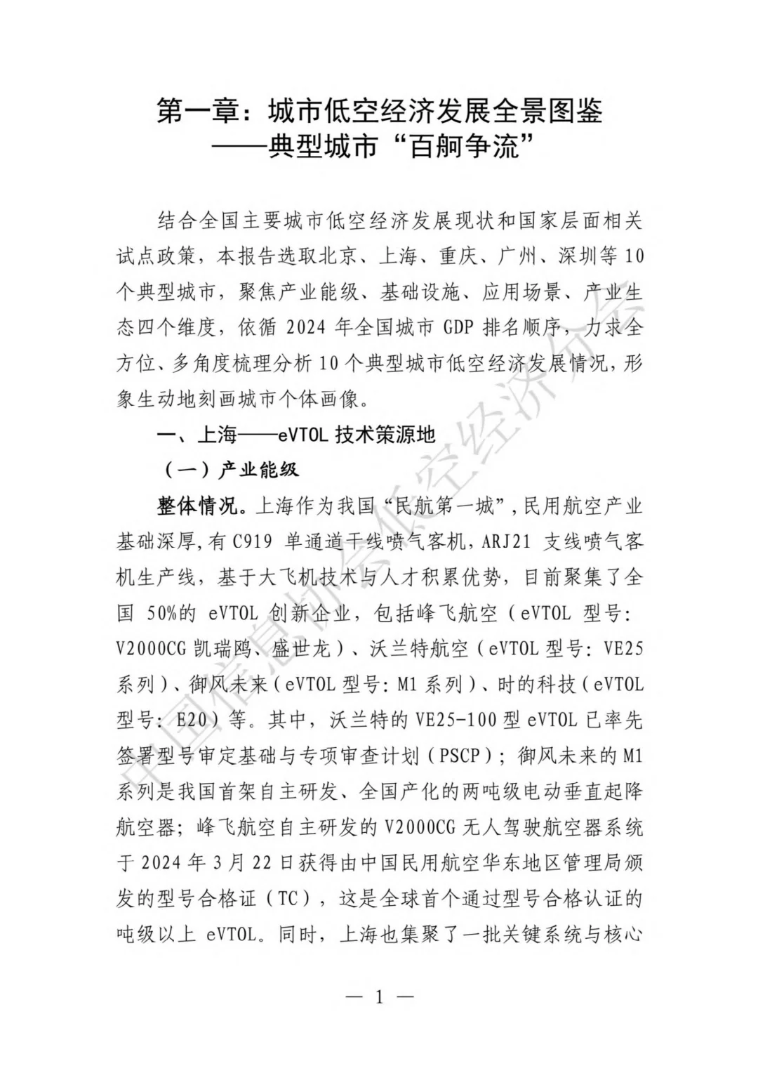 低空经济城市发展全景研究报告