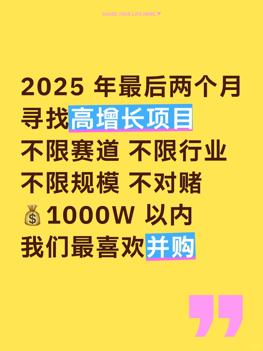 2025 寻找高增长项目 1000W 以内