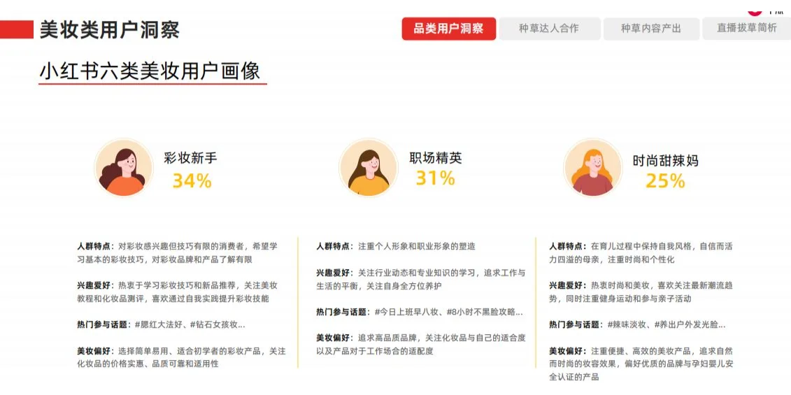 小红书平台消费者洞察/用户分析（15套）