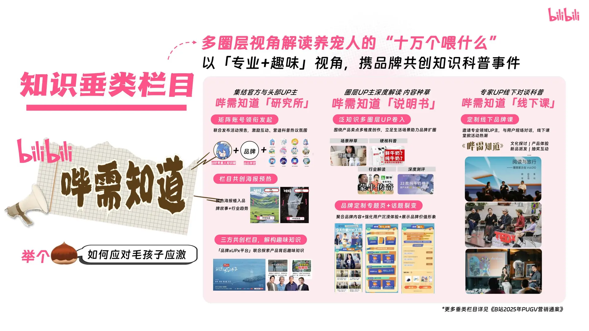 ?2025年宠物行业营销通案