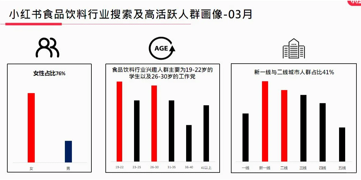 小红书平台消费者洞察/用户分析（15套）