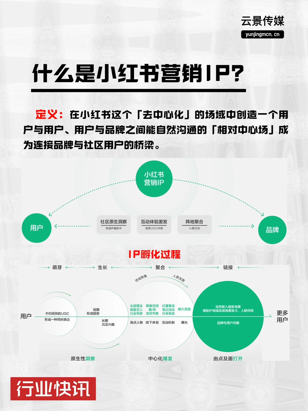 2026新风口！种收一体营销IP打法全升级！