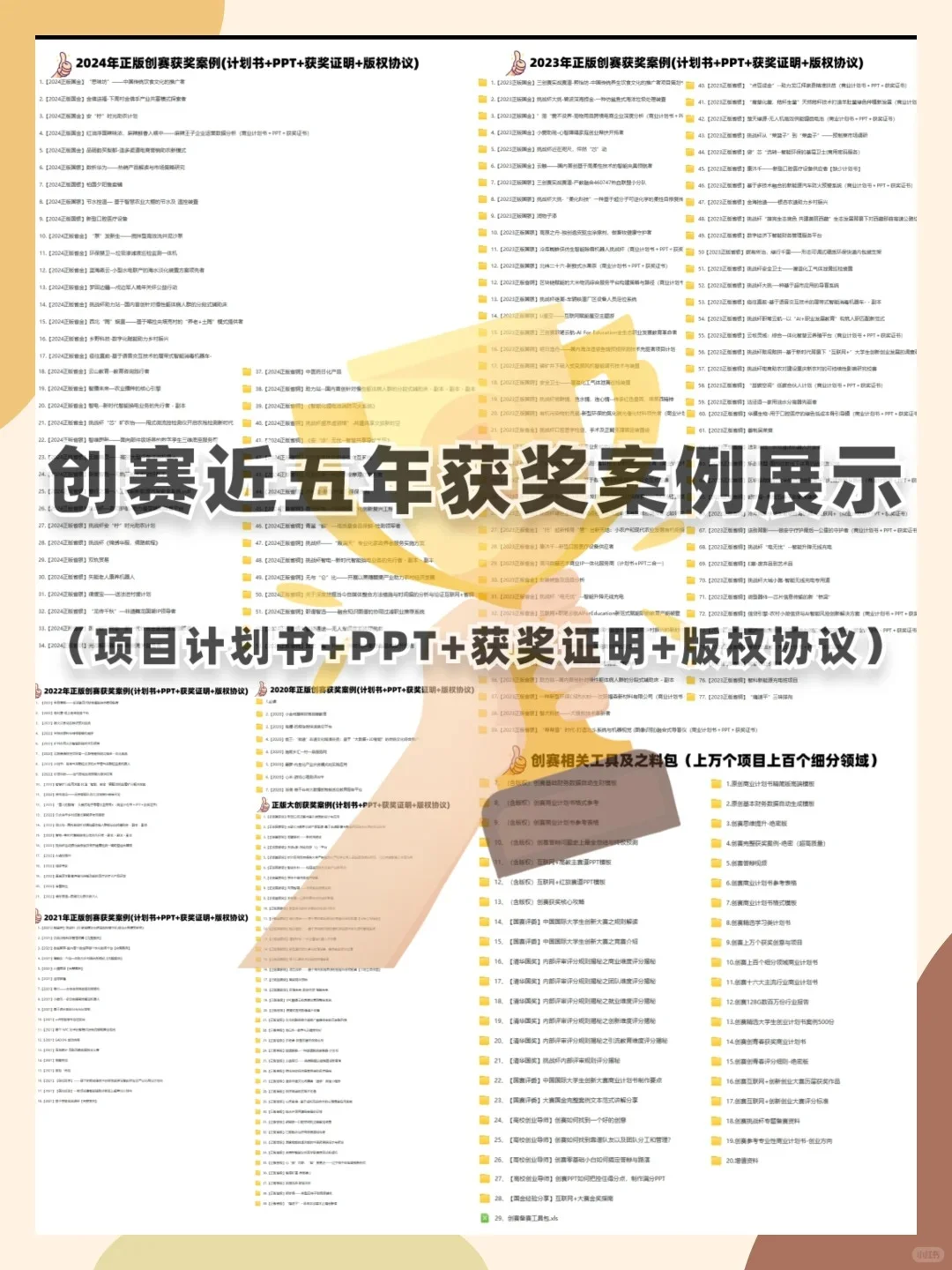 三创赛国金?乡村振兴获奖项目商业计划书