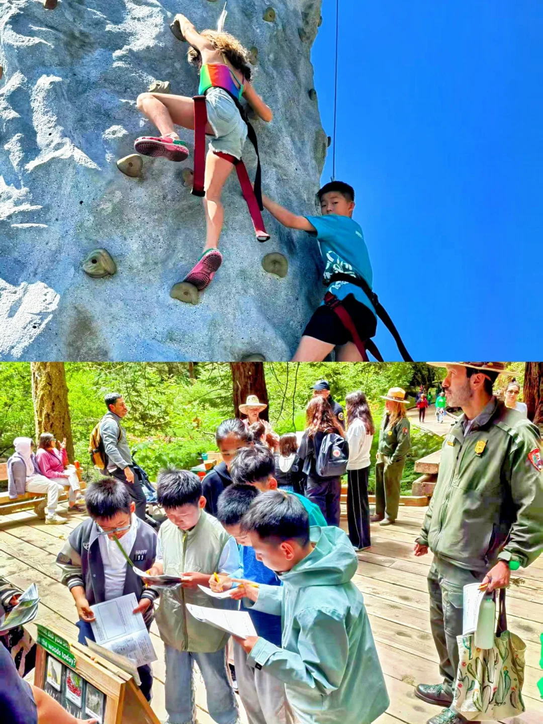 暑假行走美国｜打开书本里的世界?