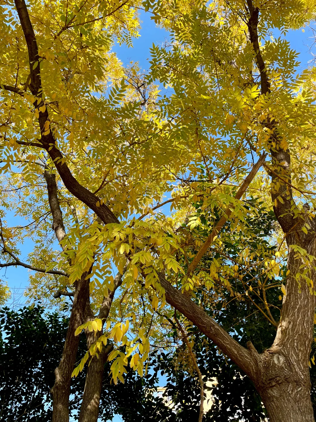 ?建议所有母婴博主：一定要做双赛道！?