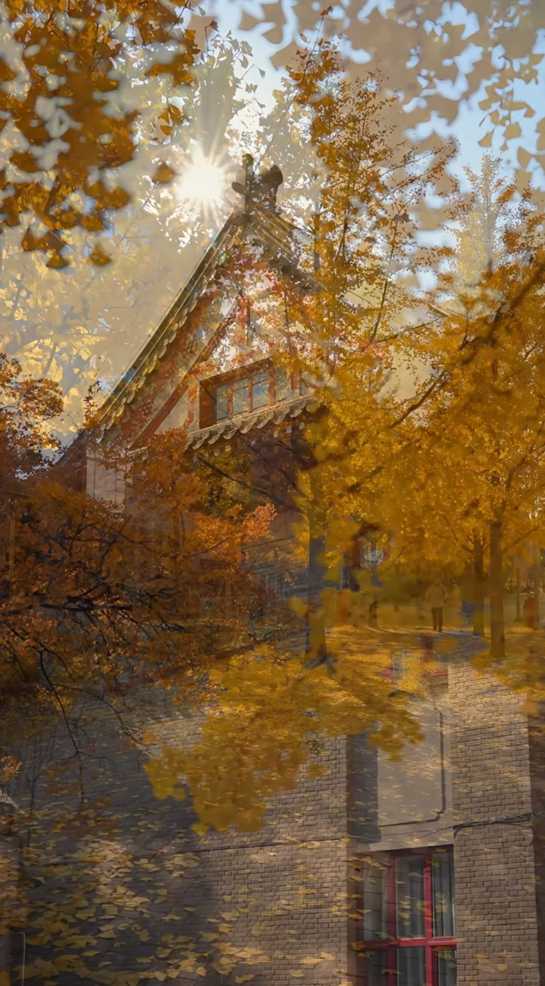 北京大学企业创新与区域经济发展班12月开课