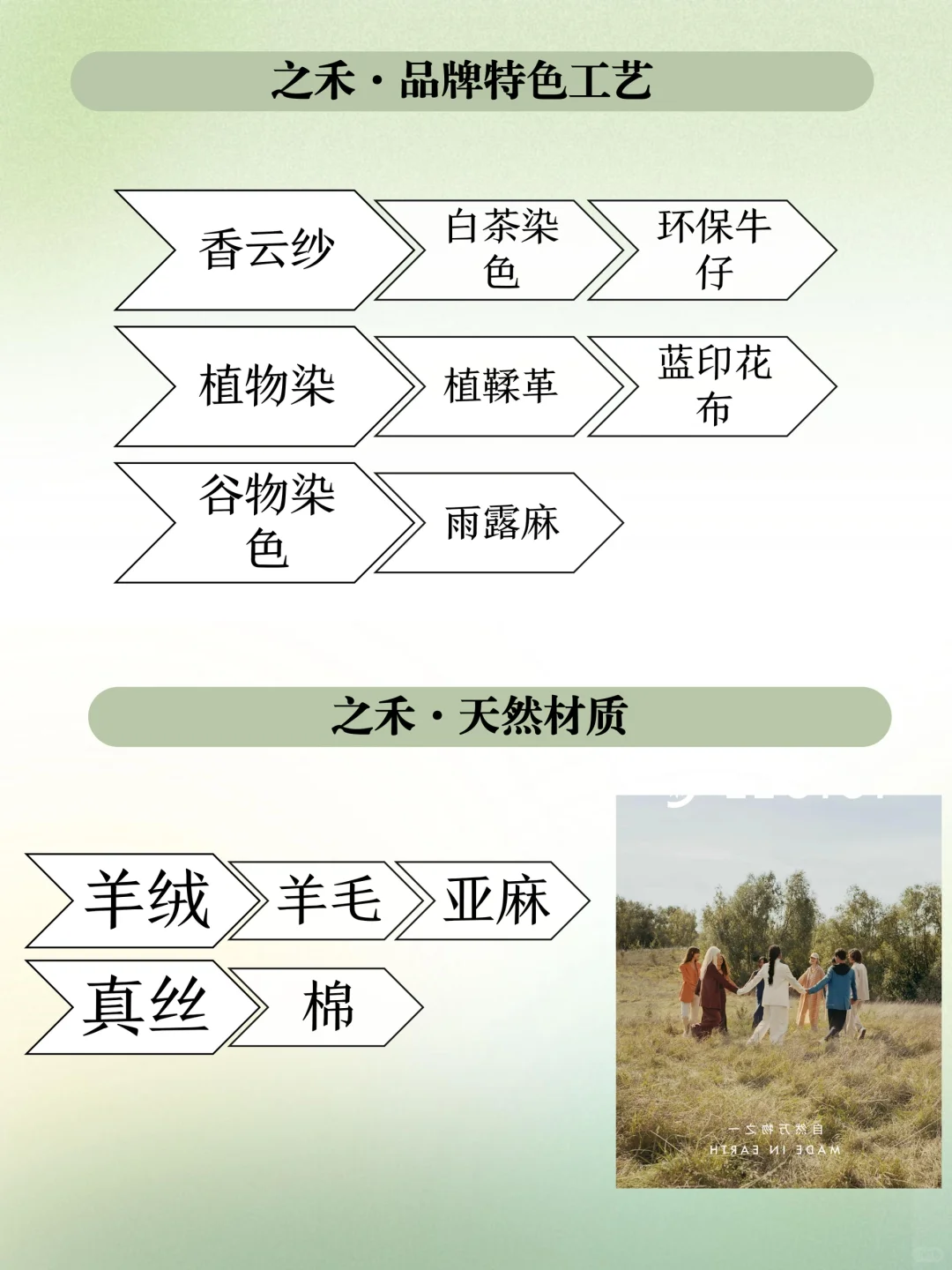 高端品牌分析『之禾』ICICLE