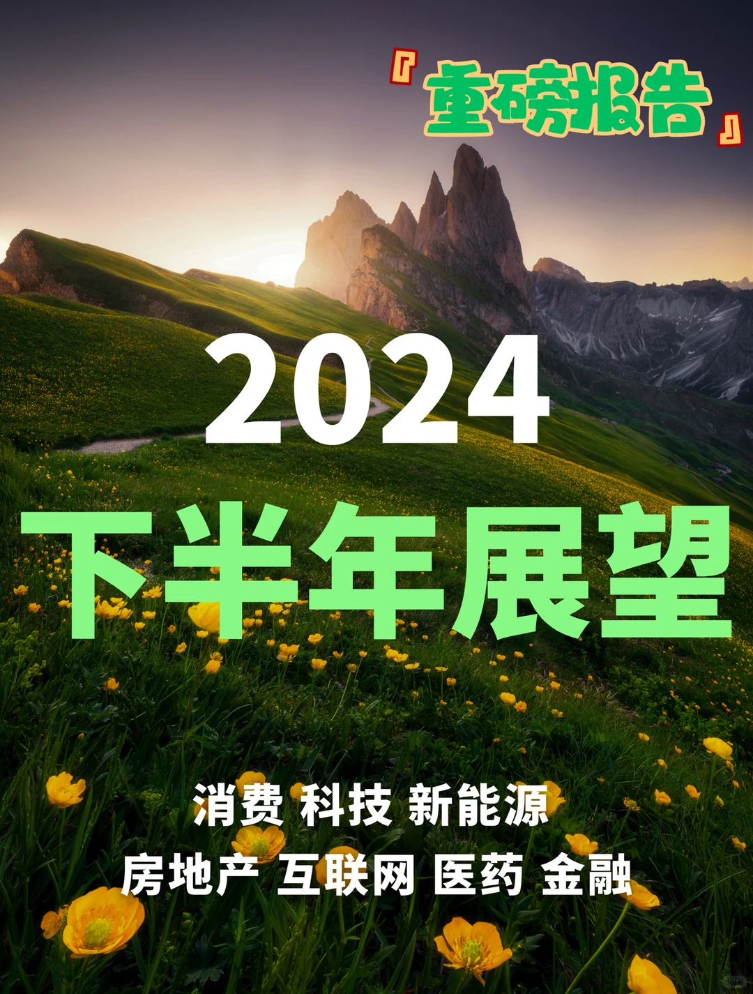 8份报告｜全面洞察2024下半年行业展望