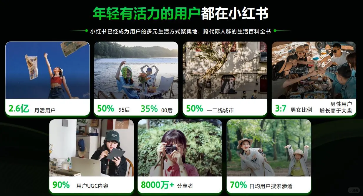 小红书平台消费者洞察/用户分析（15套）